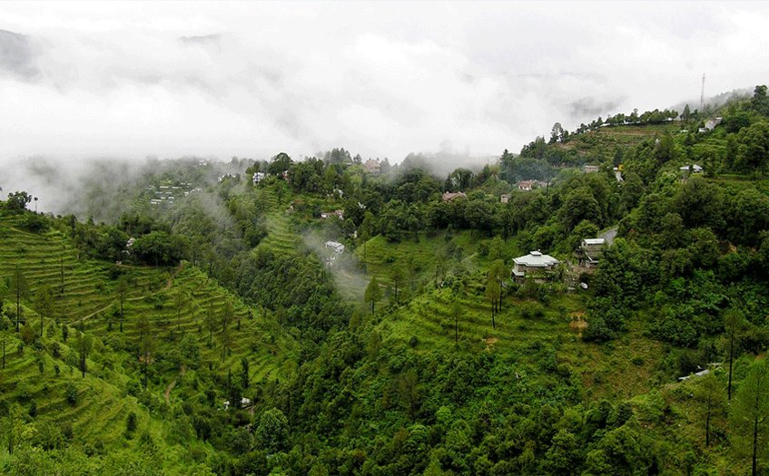 Bhowali Heights & Near Nainital Projects (The Hill Station Vibe)